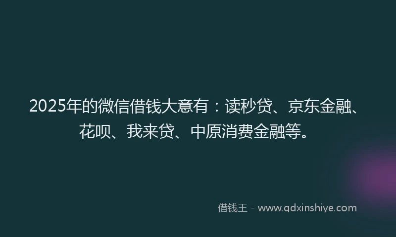 2025年的微信借钱大意有：读秒贷、京东金融、花呗、我来贷、中原消费金融等。