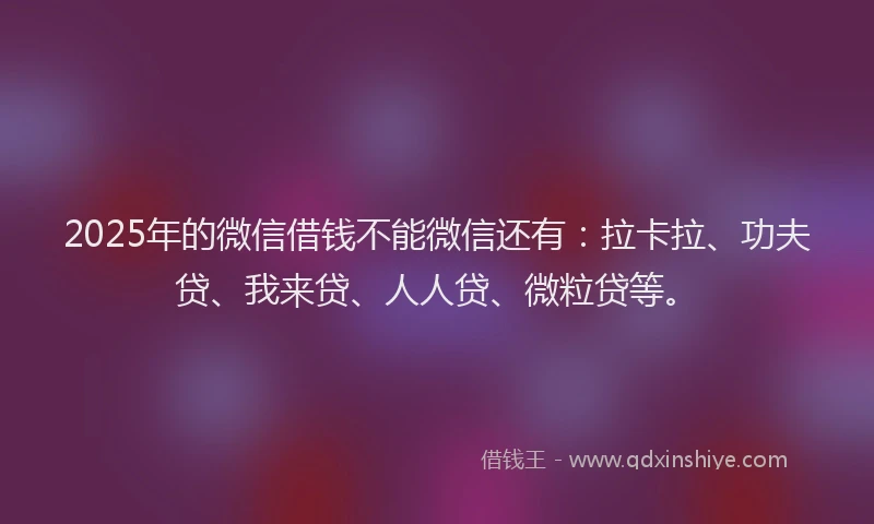 2025年的微信借钱不能微信还有：拉卡拉、功夫贷、我来贷、人人贷、微粒贷等。