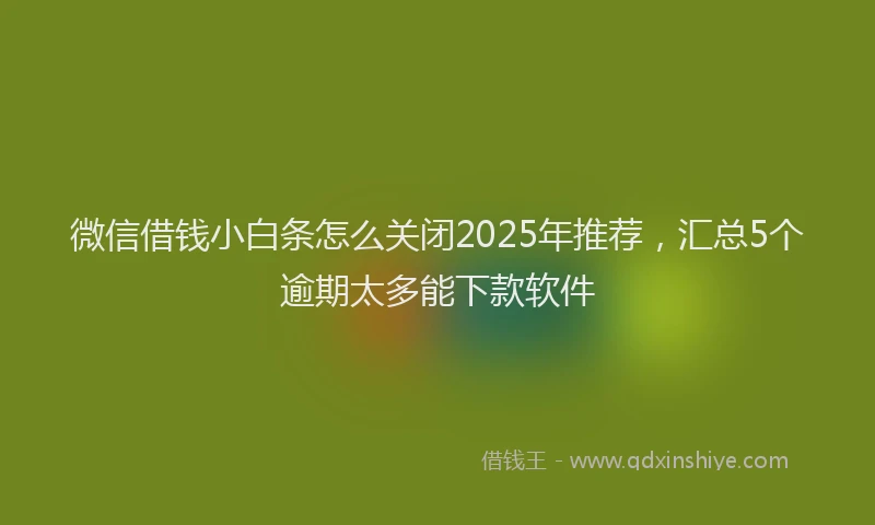 微信借钱小白条怎么关闭2025年推荐，汇总5个逾期太多能下款软件