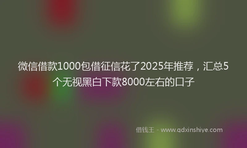 微信借款1000包借征信花了2025年推荐，汇总5个无视黑白下款8000左右的口子