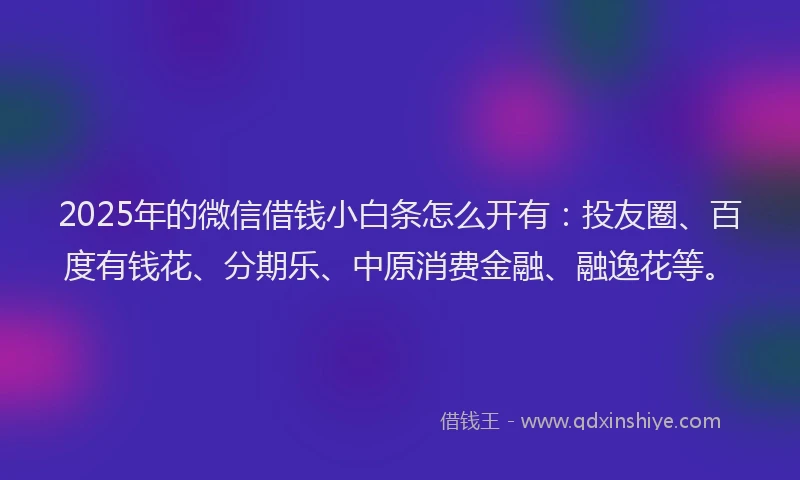 2025年的微信借钱小白条怎么开有：投友圈、百度有钱花、分期乐、中原消费金融、融逸花等。