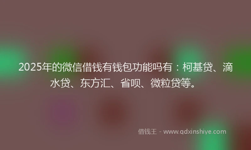 2025年的微信借钱有钱包功能吗有：柯基贷、滴水贷、东方汇、省呗、微粒贷等。