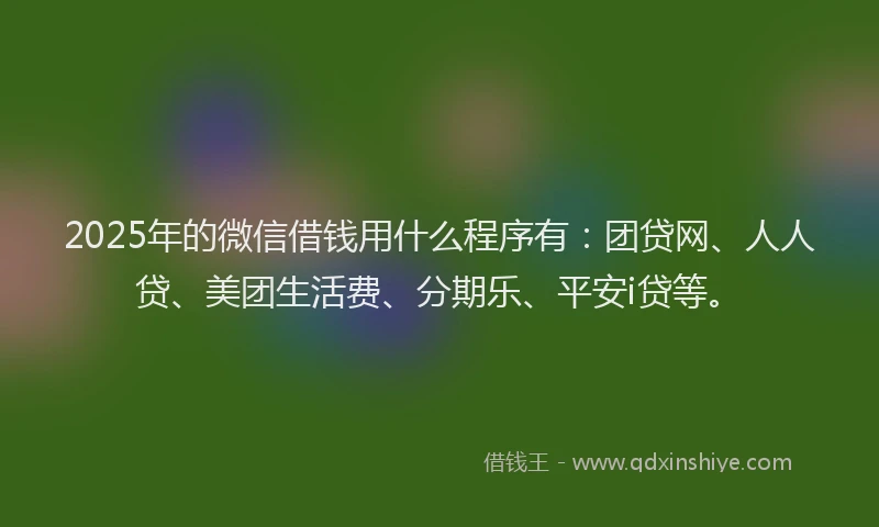 2025年的微信借钱用什么程序有：团贷网、人人贷、美团生活费、分期乐、平安i贷等。