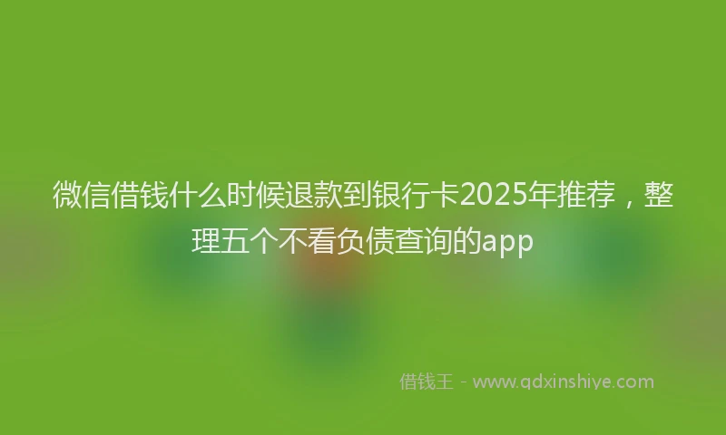 微信借钱什么时候退款到银行卡2025年推荐，整理五个不看负债查询的app