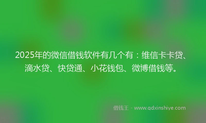 2025年的微信借钱软件有几个有：维信卡卡贷、滴水贷、快贷通、小花钱包、微博借钱等。