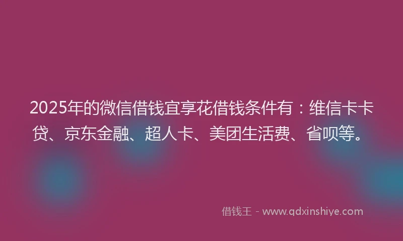 2025年的微信借钱宜享花借钱条件有：维信卡卡贷、京东金融、超人卡、美团生活费、省呗等。
