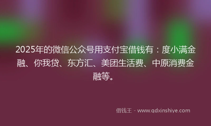 2025年的微信公众号用支付宝借钱有：度小满金融、你我贷、东方汇、美团生活费、中原消费金融等。