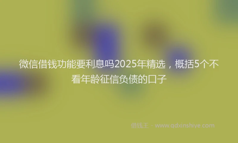 微信借钱功能要利息吗2025年精选，概括5个不看年龄征信负债的口子