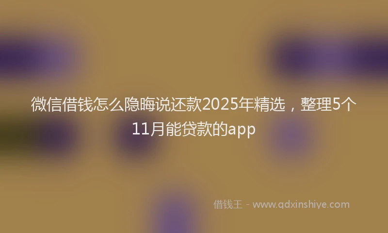 微信借钱怎么隐晦说还款2025年精选，整理5个11月能贷款的app