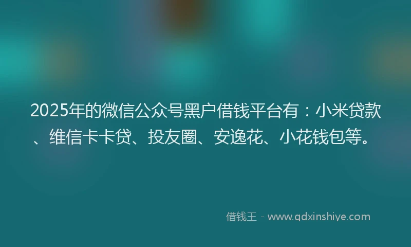 2025年的微信公众号黑户借钱平台有：小米贷款、维信卡卡贷、投友圈、安逸花、小花钱包等。