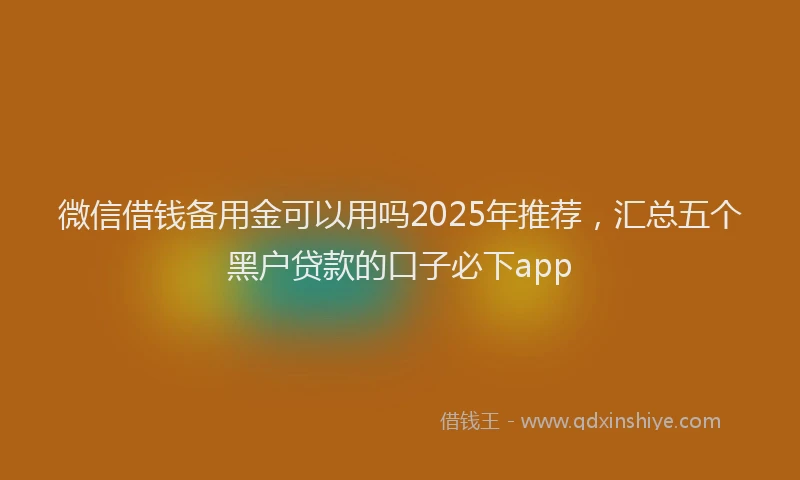微信借钱备用金可以用吗2025年推荐，汇总五个黑户贷款的口子必下app