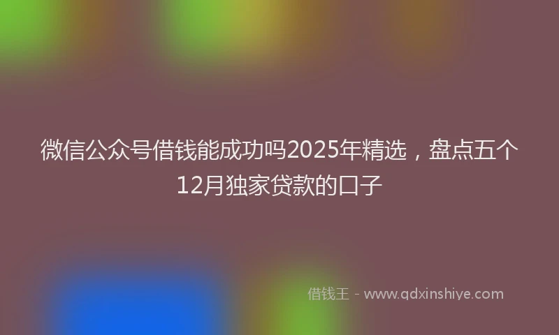 微信公众号借钱能成功吗2025年精选，盘点五个12月独家贷款的口子