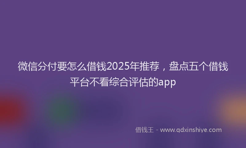 微信分付要怎么借钱2025年推荐，盘点五个借钱平台不看综合评估的app