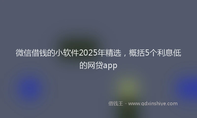 微信借钱的小软件2025年精选，概括5个利息低的网贷app