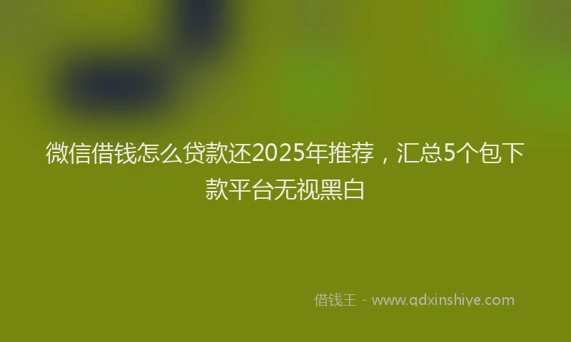 微信借钱怎么贷款还2025年推荐，汇总5个包下款平台无视黑白