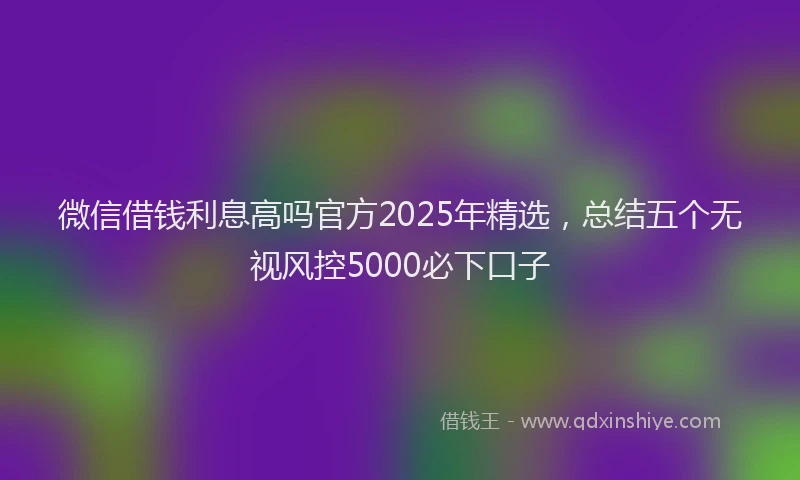 微信借钱利息高吗官方2025年精选，总结五个无视风控5000必下口子
