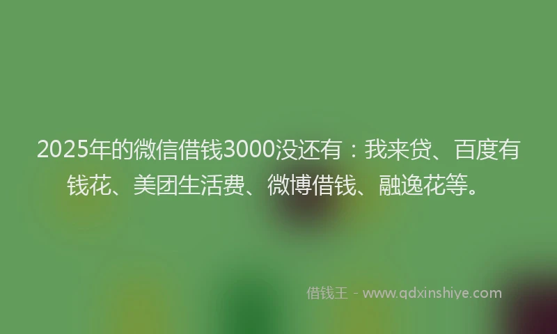 2025年的微信借钱3000没还有：我来贷、百度有钱花、美团生活费、微博借钱、融逸花等。