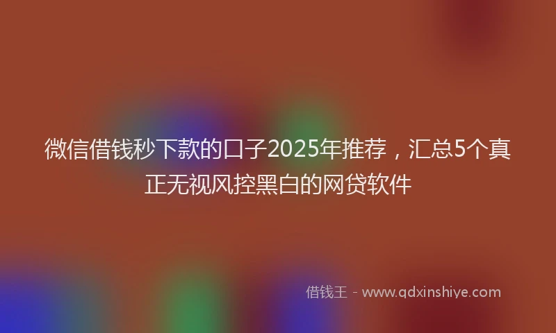 微信借钱秒下款的口子2025年推荐，汇总5个真正无视风控黑白的网贷软件