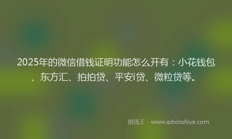 2025年的微信借钱证明功能怎么开有：小花钱包、东方汇、拍拍贷、平安i贷、微粒贷等。