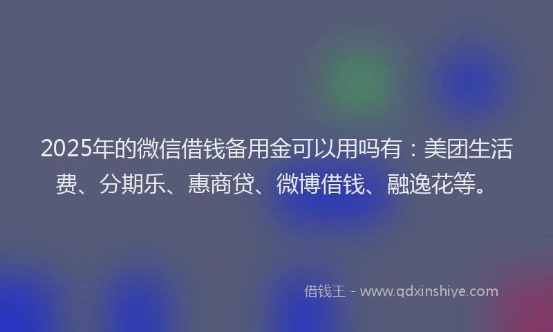 2025年的微信借钱备用金可以用吗有：美团生活费、分期乐、惠商贷、微博借钱、融逸花等。