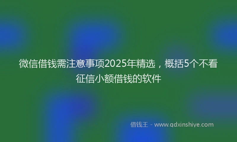 微信借钱需注意事项2025年精选，概括5个不看征信小额借钱的软件