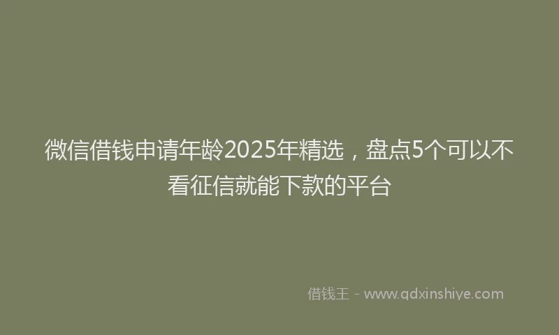 微信借钱申请年龄2025年精选，盘点5个可以不看征信就能下款的平台