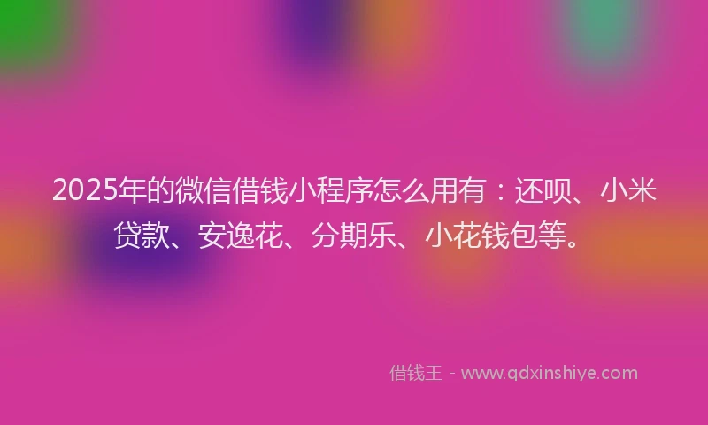 2025年的微信借钱小程序怎么用有：还呗、小米贷款、安逸花、分期乐、小花钱包等。