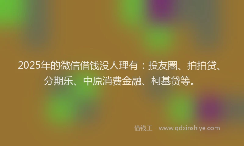 2025年的微信借钱没人理有：投友圈、拍拍贷、分期乐、中原消费金融、柯基贷等。