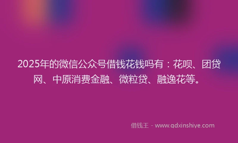 2025年的微信公众号借钱花钱吗有：花呗、团贷网、中原消费金融、微粒贷、融逸花等。