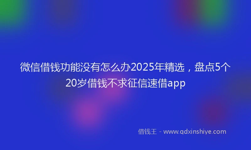 微信借钱功能没有怎么办2025年精选，盘点5个20岁借钱不求征信速借app