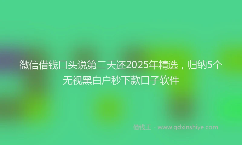 微信借钱口头说第二天还2025年精选，归纳5个无视黑白户秒下款口子软件