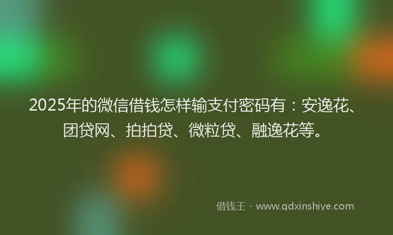 2025年的微信借钱怎样输支付密码有：安逸花、团贷网、拍拍贷、微粒贷、融逸花等。