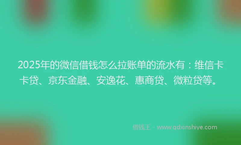2025年的微信借钱怎么拉账单的流水有：维信卡卡贷、京东金融、安逸花、惠商贷、微粒贷等。