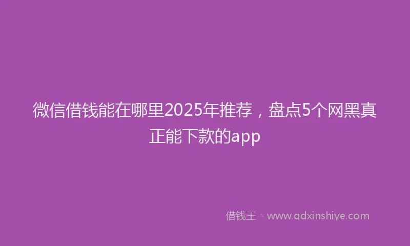 微信借钱能在哪里2025年推荐，盘点5个网黑真正能下款的app