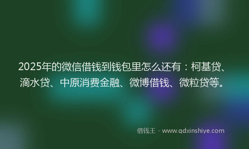 2025年的微信借钱到钱包里怎么还有：柯基贷、滴水贷、中原消费金融、微博借钱、微粒贷等。