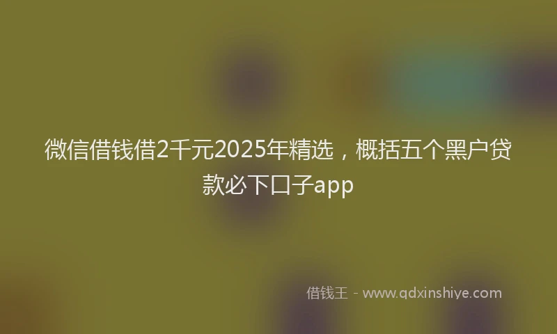 微信借钱借2千元2025年精选，概括五个黑户贷款必下口子app