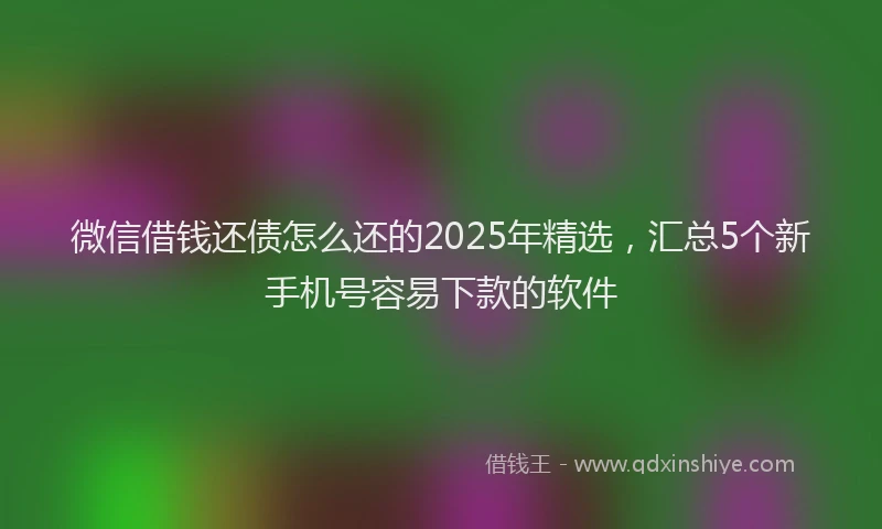 微信借钱还债怎么还的2025年精选，汇总5个新手机号容易下款的软件