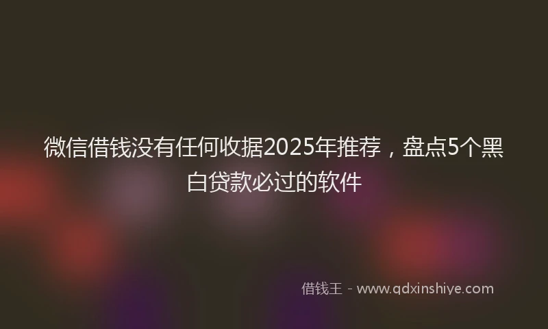微信借钱没有任何收据2025年推荐，盘点5个黑白贷款必过的软件