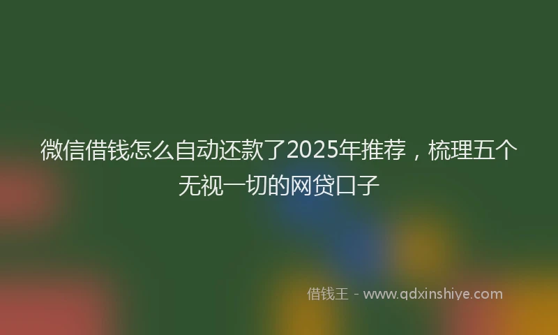 微信借钱怎么自动还款了2025年推荐，梳理五个无视一切的网贷口子