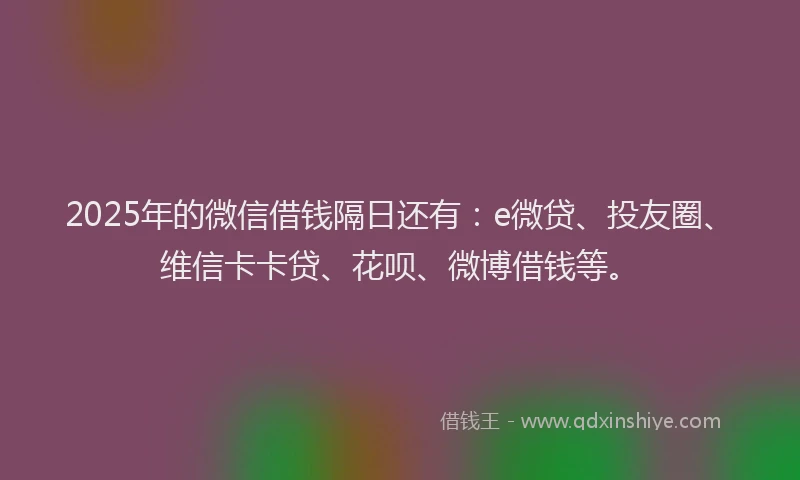 2025年的微信借钱隔日还有：e微贷、投友圈、维信卡卡贷、花呗、微博借钱等。