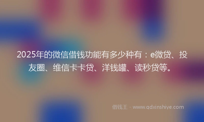 2025年的微信借钱功能有多少种有：e微贷、投友圈、维信卡卡贷、洋钱罐、读秒贷等。