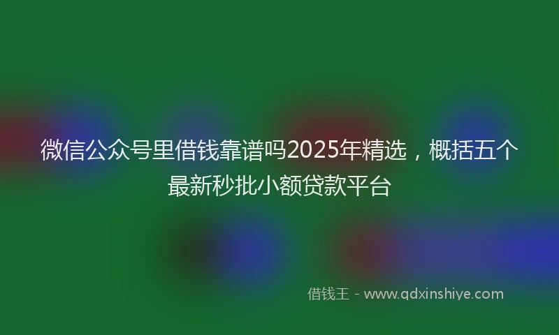 微信公众号里借钱靠谱吗2025年精选，概括五个最新秒批小额贷款平台