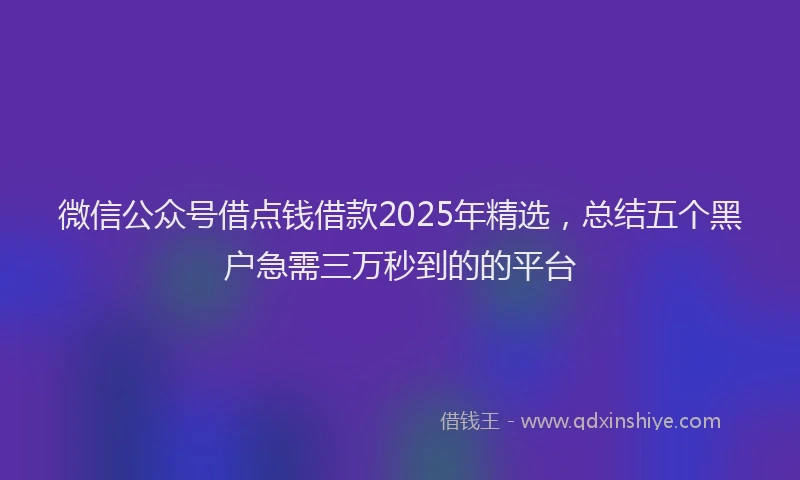 微信公众号借点钱借款2025年精选，总结五个黑户急需三万秒到的的平台