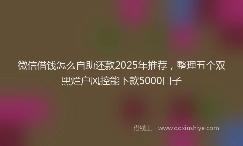 微信借钱怎么自助还款2025年推荐，整理五个双黑烂户风控能下款5000口子