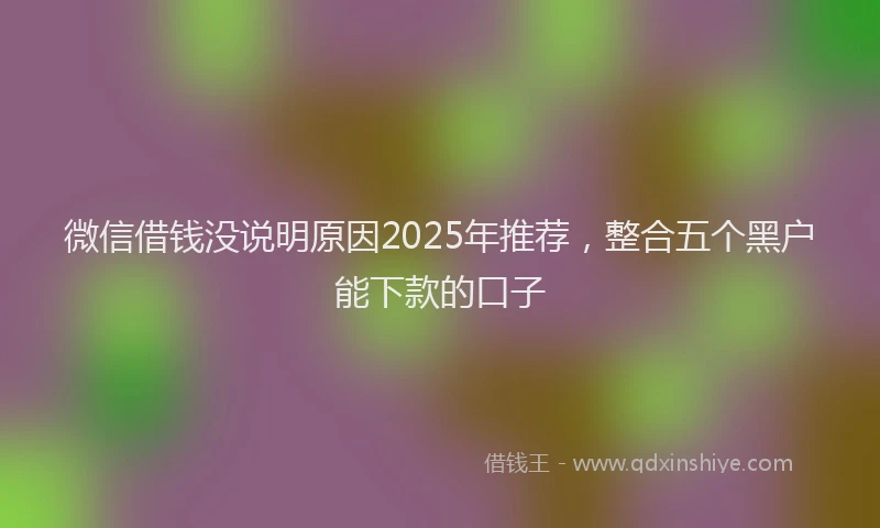 微信借钱没说明原因2025年推荐，整合五个黑户能下款的口子