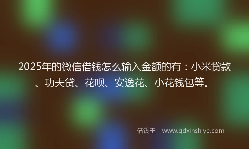 2025年的微信借钱怎么输入金额的有：小米贷款、功夫贷、花呗、安逸花、小花钱包等。