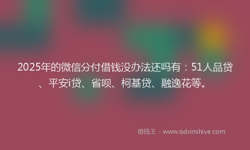 2025年的微信分付借钱没办法还吗有:51人品贷、平安i贷、省呗、柯基贷、融逸花等。