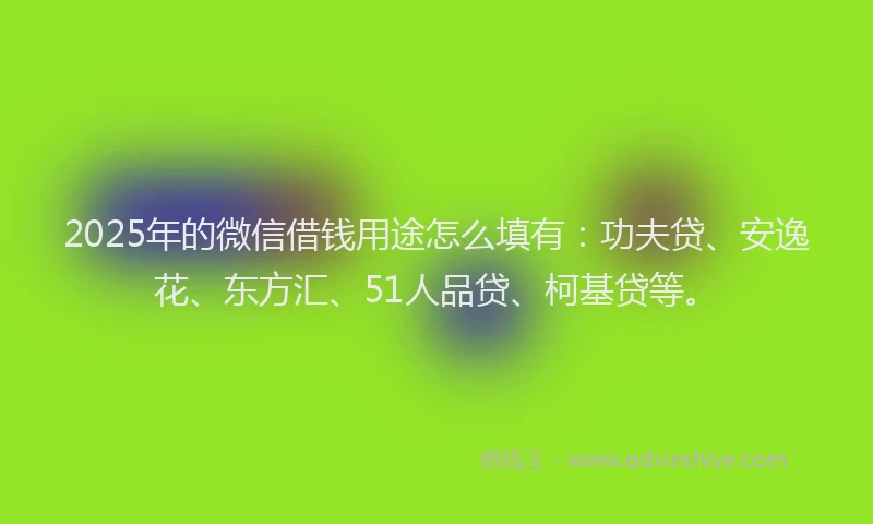 2025年的微信借钱用途怎么填有：功夫贷、安逸花、东方汇、51人品贷、柯基贷等。
