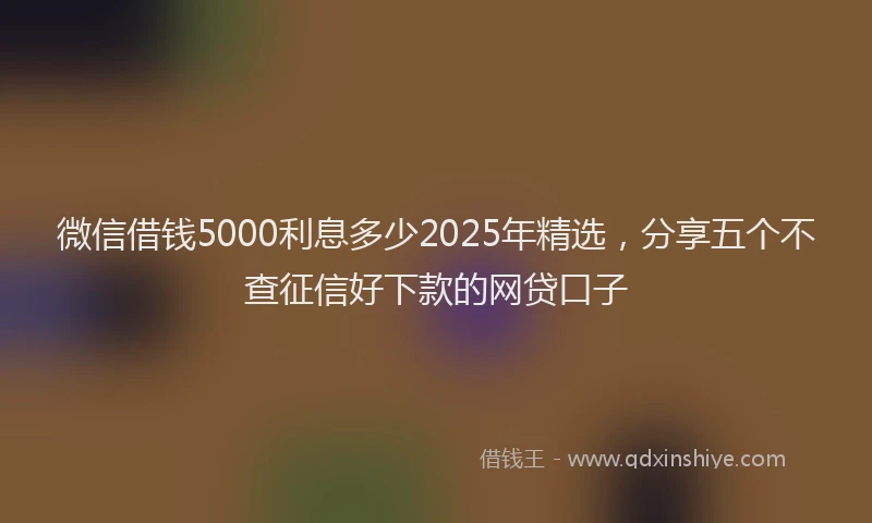 微信借钱5000利息多少2025年精选，分享五个不查征信好下款的网贷口子