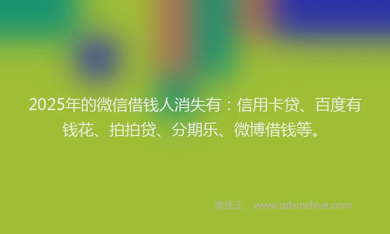 2025年的微信借钱人消失有：信用卡贷、百度有钱花、拍拍贷、分期乐、微博借钱等。